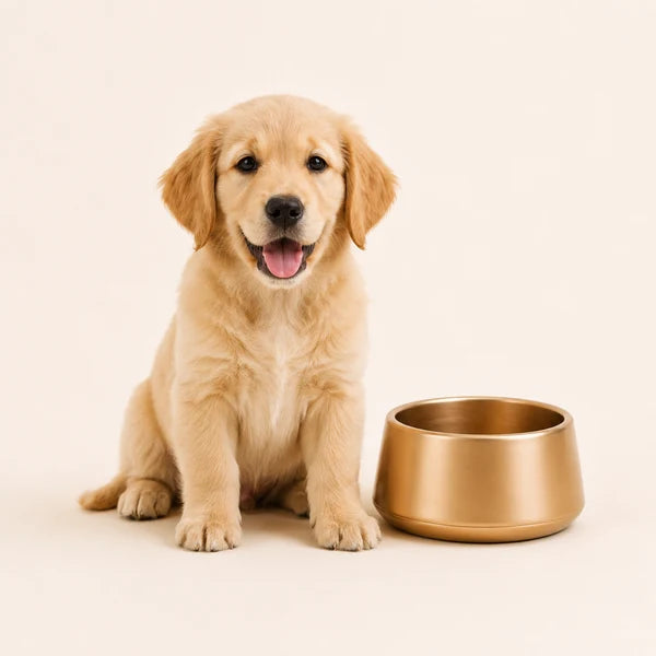 Pet Supllies