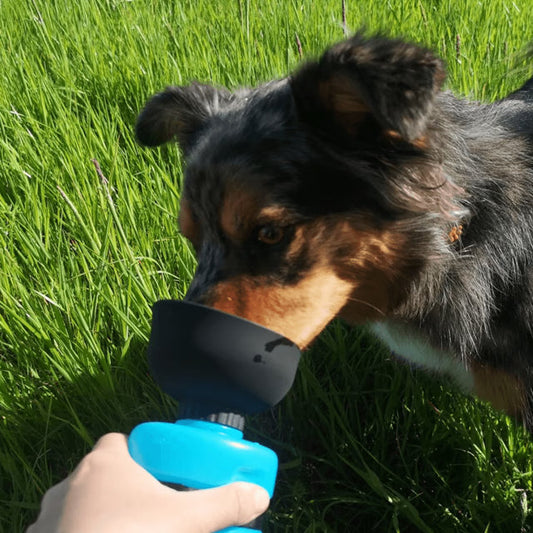 BPA Free Outdoor Dog Water Bottle